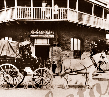 Wheaton's Store, Victor Harbor SA Postcard. South Australia. Horse and carriage