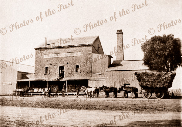 Laura Milling Company Mill, Laura, SA. South Australia. 1920s. horse and cart
