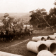 Construction of Hindmarsh Valley Reservoir, SA. South Australia. 1920s. Dam. pipes. Horses