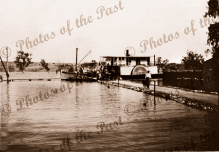 PS MURRUNDI. Paddle Steamer. Riverboat. 1908