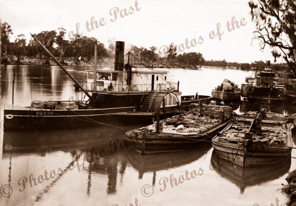 PSs DECOY & MURRUMBIDGEE (distant) & barges at Morgan, SA. South Australia. Paddle Steamers. Riverboats