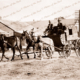 Stagecoach at Aldinga, SA. South Australia. Horses 1920s