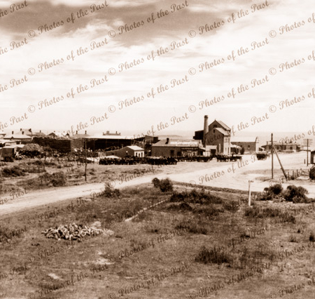 Port Victoria township, SA. c1924. South Australia
