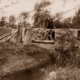Elma & Vernon Smith at rustic bridge. National Park, SA. South Australia. 1910