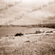 Coastal view to Bluff, Victor Harbor, SA. c1930s. South Australia