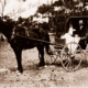 Horse and buggy with two men. c1910