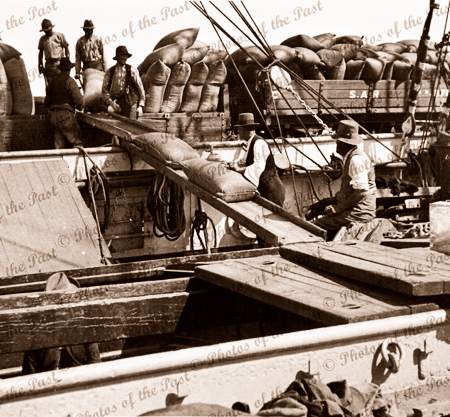 Barque HERZOGIN CECILIE loading wheat, Port Lincoln, SA. South Australia. 1928. Ship