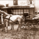 Family in 2 horse Bavarian style cart. c1930s