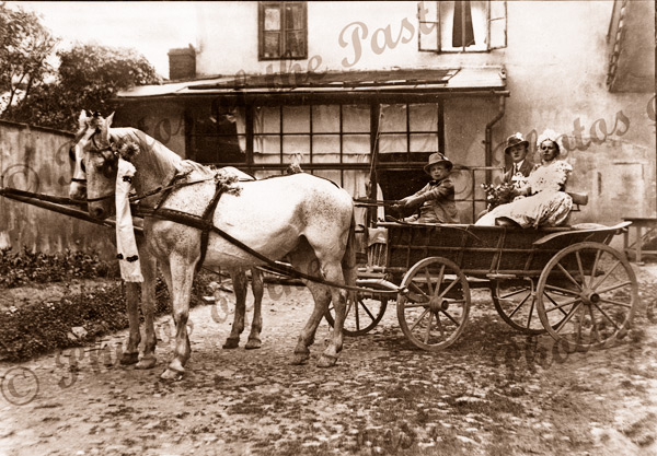 Family in 2 horse Bavarian style cart. c1930s