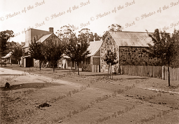 A street in Hahndorf, SA. c1890. South Australia