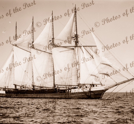 4M Schooner ALUMNA under sail. Built 1901. Shipping