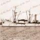 SS ABEL TASMAN. Ship