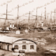 Shipping at Queen's Wharf, Geelong, Victoria. 1880s