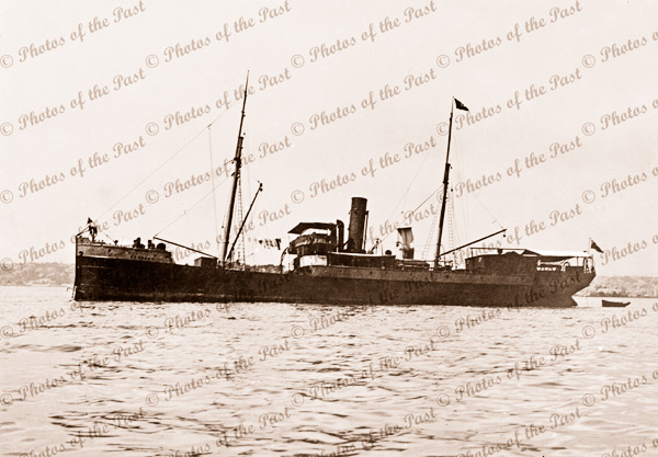 SS BRUNNER 584 Tons. Built 1888. Shipping