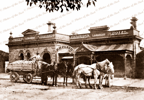 Edinburgh Inn (hotel), High St, Mitcham, SA. 1913. South Australia. Horse and cart