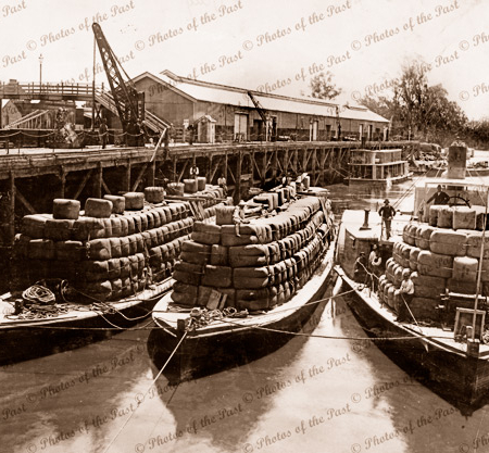 PS RODNEY & Wool barge at Echuca Vic. (Burnt August 1894). Victoria. Murray River. 1893. paddle steamer