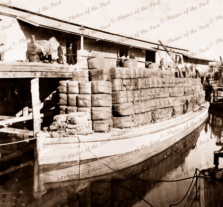 Loaded wool barge PARAGON & PS BANTAM at Echuca Vic. Victoria. 1893. paddle streamer. Murray River