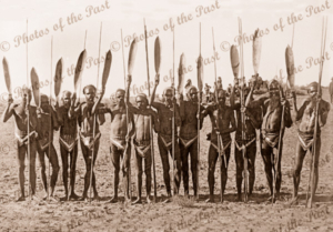 Aboriginal group with spears & woomeras, Central Australia. c1950s