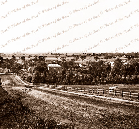 Muggs Hill Road Mitcham, SA, showing 'Kalawa'. South Australia.1880