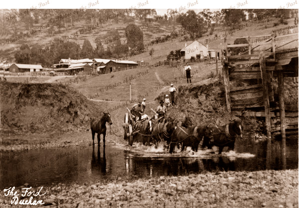 Horse team crossing Buchan Creek, Buchan Vic. c1910. Victoria