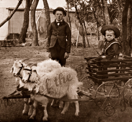 The Billy Goat Cart, c1907