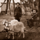 The Billy Goat Cart, c1907