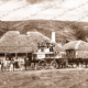 Old 'Horseshoe Inn' at Noarlunga, SA. South Australia. 1860. Horse and carriage