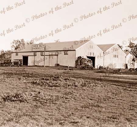 Red Sun fruit packing shed at Red Cliffs, Vic. 1920s. Victoria