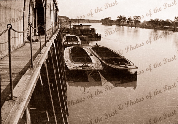 Barges at Morgan, SA. River Murray. South Australia c1925