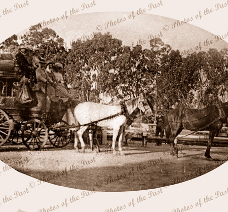 Passenger coach leaving Blackwood Railway Station. SA. Horse drawn. South Australia. 1910