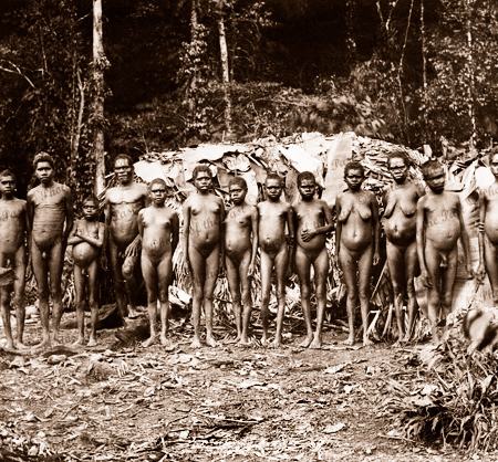Aborigines from Lower Russell River, QuAborigines from Lower Russell River, Queensland, c1894