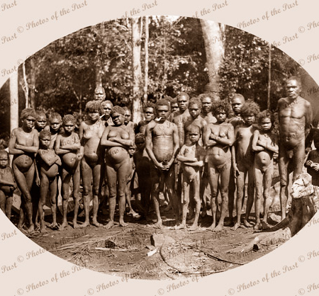 Aborigines from Upper Russell River, Queensland. c1894