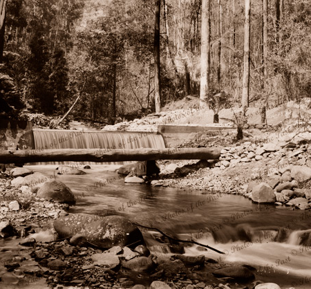 Weir across Badger Creek, Victoria c1910s