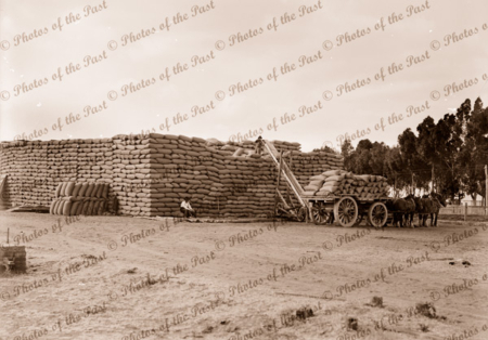 Wheat stacks at Minyip near Ararat, Vic. c1950