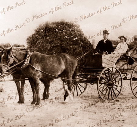Mr & Mrs AE Carrig. Founders of Carrig Chemists at Port Augusta, South Australia. C1910. Horse and carriage