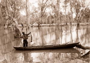 Fishing for Murray Cod on Edwards River, Victoria, c1934. Drum net in punt