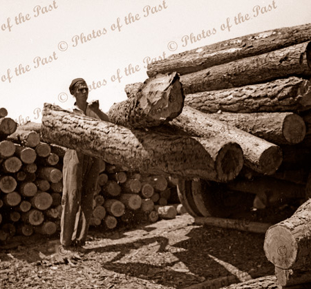 Unloading logs at Garrett's sawmill Second Valley, South Australia, 1954