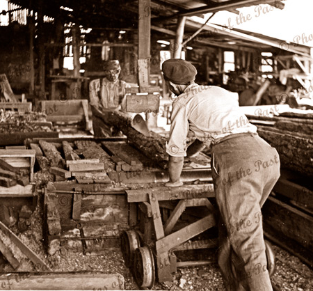 Sawing logs at Garrett's sawmill Second Valley, South Australia. 1954