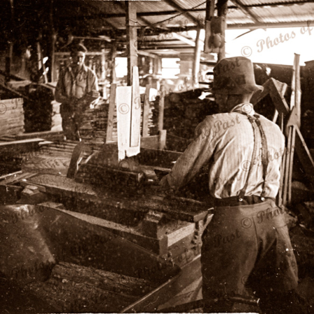 Sawing logs at Garrett's sawmill Second Valley, South Australia, 1954