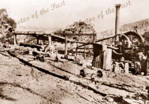 Backhouse (Junction North) sawmill in Second Valley forest, South Australia. c1920