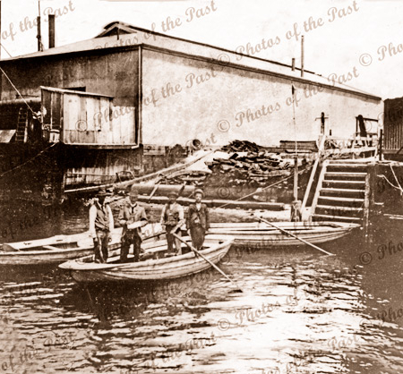 Ferry steps, Rann St, Birkenhead, SA. South Australia. Boats. Shipping. 1889