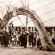 Ceremony at the Old Gum Tree, Glenelg, SA. South Australia, c1860s.
