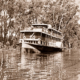 MV COONAWARRA. Paddleboat. River 1950s