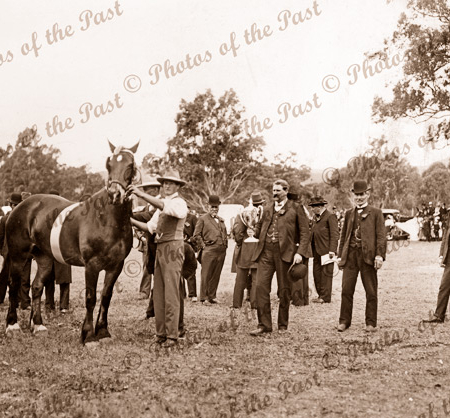 Presenting the Champion Cup at Piles Paddock, now Kensington Gardens, SA. 1920s? South Australia. Horse Racing