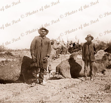 2 Aborigines, Alex Rowdy (L) & Peter (R) from Anna Creek at Cooper Pedy water hole attending to camels. SA. South Australia.