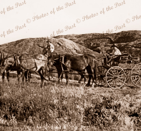 'Four in hand' buggy at White Cliffs, NSW. New South Wales. Horse and buggy. 1897