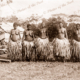 Five Papuan girls in grass skirts. Papua New Guinea.