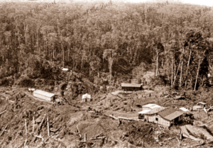 Aerial of buildings in a clearing Papua New Guinea #5. c1950s?