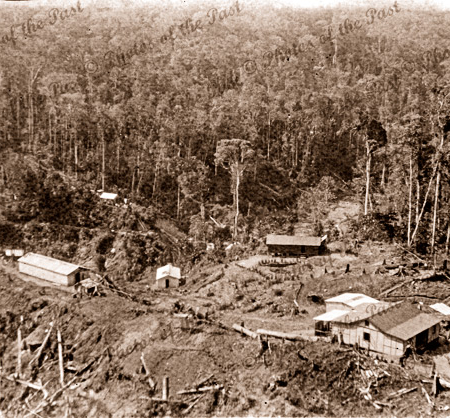 Aerial of buildings in a clearing Papua New Guinea #5. c1950s?