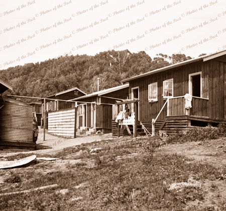 Cabins behind Wye River Hotel. Victoria. Great Ocean Road. c1920s